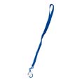 lanyard salon bleu 